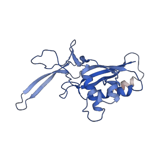 22266_6xn3_H_v1-1
Structure of the Lactococcus lactis Csm CTR_4:3 CRISPR-Cas Complex