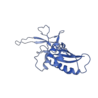 22266_6xn3_I_v1-1
Structure of the Lactococcus lactis Csm CTR_4:3 CRISPR-Cas Complex