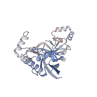 22266_6xn3_J_v1-1
Structure of the Lactococcus lactis Csm CTR_4:3 CRISPR-Cas Complex