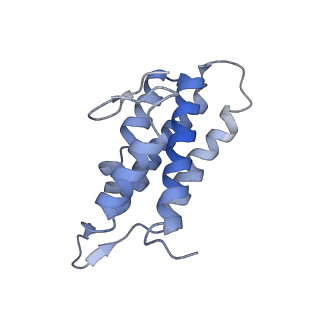 22267_6xn4_C_v1-1
Structure of the Lactococcus lactis Csm CTR_3:2 CRISPR-Cas Complex