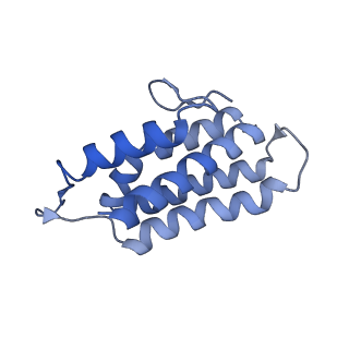 22267_6xn4_D_v1-1
Structure of the Lactococcus lactis Csm CTR_3:2 CRISPR-Cas Complex