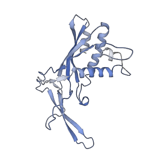 22267_6xn4_F_v1-1
Structure of the Lactococcus lactis Csm CTR_3:2 CRISPR-Cas Complex