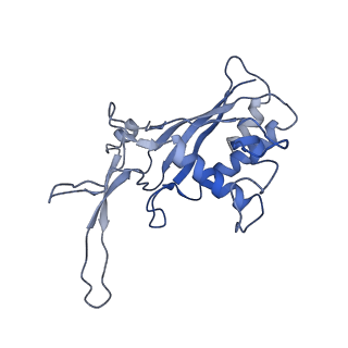 22267_6xn4_G_v1-1
Structure of the Lactococcus lactis Csm CTR_3:2 CRISPR-Cas Complex