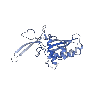 22267_6xn4_H_v1-1
Structure of the Lactococcus lactis Csm CTR_3:2 CRISPR-Cas Complex