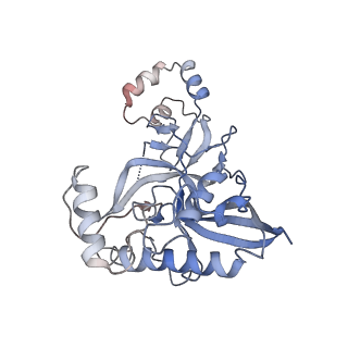 22267_6xn4_J_v1-1
Structure of the Lactococcus lactis Csm CTR_3:2 CRISPR-Cas Complex