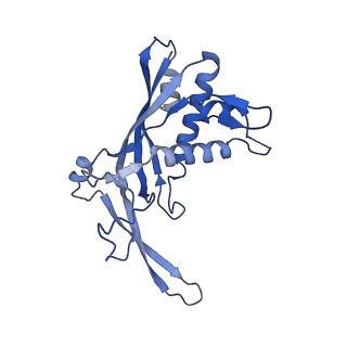 22268_6xn5_F_v1-1
Structure of the Lactococcus lactis Csm Apo- CRISPR-Cas Complex