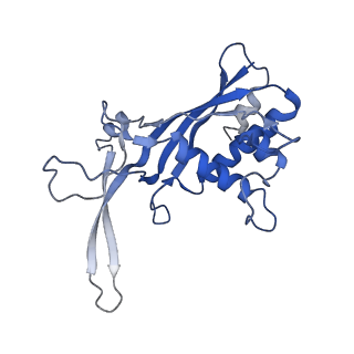 22268_6xn5_G_v1-1
Structure of the Lactococcus lactis Csm Apo- CRISPR-Cas Complex