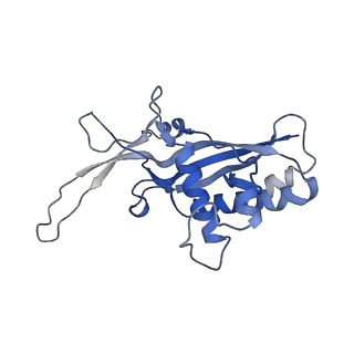 22268_6xn5_H_v1-1
Structure of the Lactococcus lactis Csm Apo- CRISPR-Cas Complex