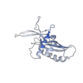 22268_6xn5_I_v1-1
Structure of the Lactococcus lactis Csm Apo- CRISPR-Cas Complex