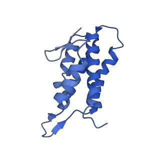 22269_6xn7_C_v1-1
Structure of the Lactococcus lactis Csm NTR CRISPR-Cas Complex