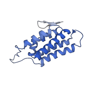 22269_6xn7_D_v1-1
Structure of the Lactococcus lactis Csm NTR CRISPR-Cas Complex
