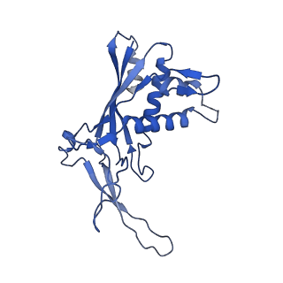 22269_6xn7_F_v1-1
Structure of the Lactococcus lactis Csm NTR CRISPR-Cas Complex