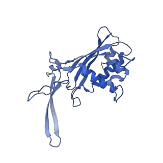 22269_6xn7_G_v1-1
Structure of the Lactococcus lactis Csm NTR CRISPR-Cas Complex