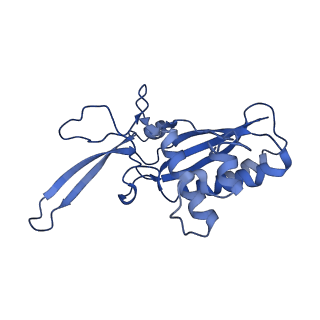 22269_6xn7_H_v1-1
Structure of the Lactococcus lactis Csm NTR CRISPR-Cas Complex