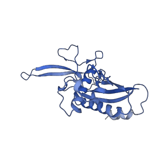 22269_6xn7_I_v1-1
Structure of the Lactococcus lactis Csm NTR CRISPR-Cas Complex