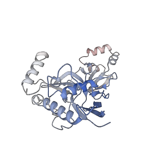 22269_6xn7_J_v1-1
Structure of the Lactococcus lactis Csm NTR CRISPR-Cas Complex