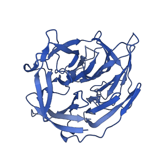 22272_6xnx_B_v1-2
Structure of RAG1 (R848M/E649V)-RAG2-DNA Strand Transfer Complex (Dynamic-Form)