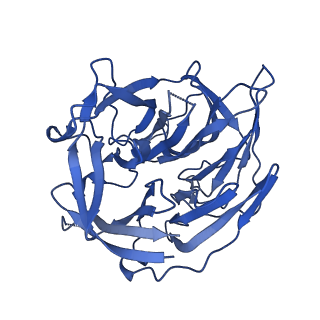 22272_6xnx_B_v1-3
Structure of RAG1 (R848M/E649V)-RAG2-DNA Strand Transfer Complex (Dynamic-Form)