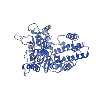 22272_6xnx_C_v1-2
Structure of RAG1 (R848M/E649V)-RAG2-DNA Strand Transfer Complex (Dynamic-Form)