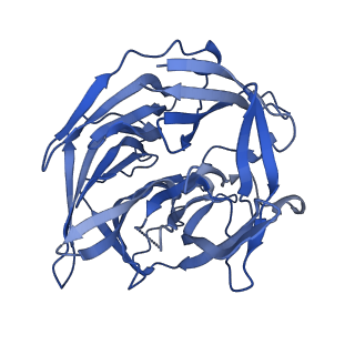 22272_6xnx_D_v1-2
Structure of RAG1 (R848M/E649V)-RAG2-DNA Strand Transfer Complex (Dynamic-Form)