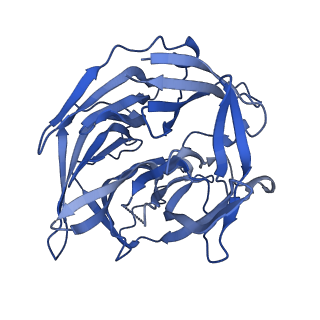 22272_6xnx_D_v1-3
Structure of RAG1 (R848M/E649V)-RAG2-DNA Strand Transfer Complex (Dynamic-Form)