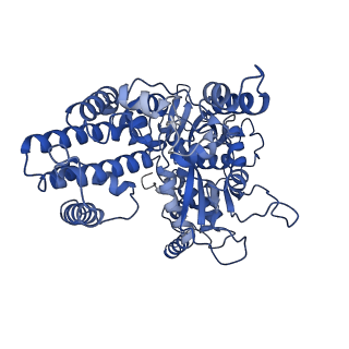 22273_6xny_A_v1-2
Structure of RAG1 (R848M/E649V)-RAG2-DNA Strand Transfer Complex (Paired-Form)
