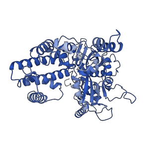 22273_6xny_A_v1-3
Structure of RAG1 (R848M/E649V)-RAG2-DNA Strand Transfer Complex (Paired-Form)