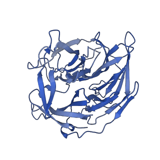 22273_6xny_B_v1-2
Structure of RAG1 (R848M/E649V)-RAG2-DNA Strand Transfer Complex (Paired-Form)