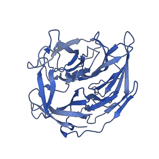 22273_6xny_B_v1-3
Structure of RAG1 (R848M/E649V)-RAG2-DNA Strand Transfer Complex (Paired-Form)