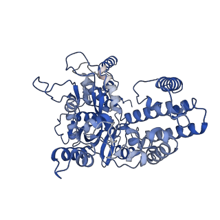 22273_6xny_C_v1-2
Structure of RAG1 (R848M/E649V)-RAG2-DNA Strand Transfer Complex (Paired-Form)