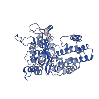 22273_6xny_C_v1-3
Structure of RAG1 (R848M/E649V)-RAG2-DNA Strand Transfer Complex (Paired-Form)