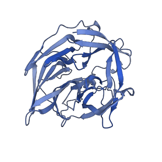 22273_6xny_D_v1-2
Structure of RAG1 (R848M/E649V)-RAG2-DNA Strand Transfer Complex (Paired-Form)