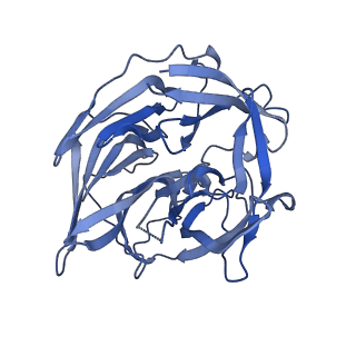 22273_6xny_D_v1-3
Structure of RAG1 (R848M/E649V)-RAG2-DNA Strand Transfer Complex (Paired-Form)