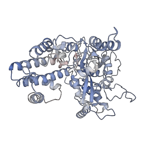 22274_6xnz_A_v1-3
Structure of RAG1 (R848M/E649V)-RAG2-DNA Target Capture Complex