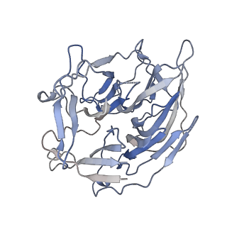 22274_6xnz_B_v1-3
Structure of RAG1 (R848M/E649V)-RAG2-DNA Target Capture Complex