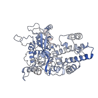 22274_6xnz_C_v1-2
Structure of RAG1 (R848M/E649V)-RAG2-DNA Target Capture Complex