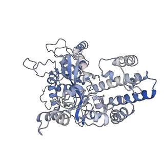 22274_6xnz_C_v1-3
Structure of RAG1 (R848M/E649V)-RAG2-DNA Target Capture Complex