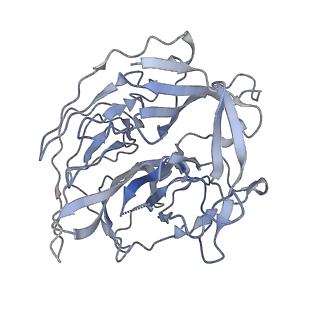 22274_6xnz_D_v1-2
Structure of RAG1 (R848M/E649V)-RAG2-DNA Target Capture Complex