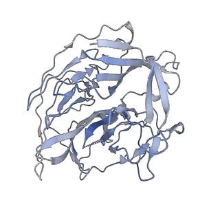 22274_6xnz_D_v1-3
Structure of RAG1 (R848M/E649V)-RAG2-DNA Target Capture Complex