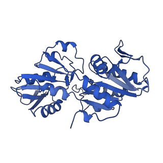 33309_7xn3_A_v1-1
E.coli phosphoribosylpyrophosphate (PRPP) synthetase type B filament bound with Pi
