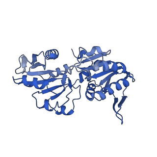 33309_7xn3_B_v1-1
E.coli phosphoribosylpyrophosphate (PRPP) synthetase type B filament bound with Pi