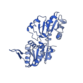 33309_7xn3_F_v1-1
E.coli phosphoribosylpyrophosphate (PRPP) synthetase type B filament bound with Pi