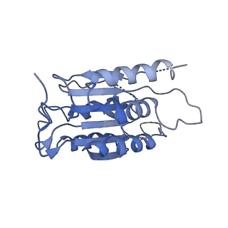 33310_7xn4_A_v1-1
Cryo-EM structure of CopC-CaM-caspase-3 with NAD+