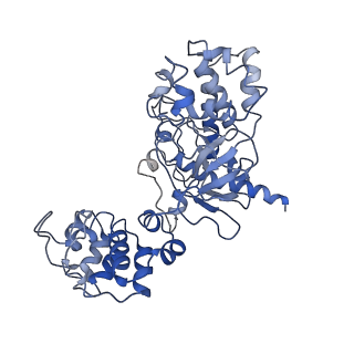 33310_7xn4_B_v1-1
Cryo-EM structure of CopC-CaM-caspase-3 with NAD+