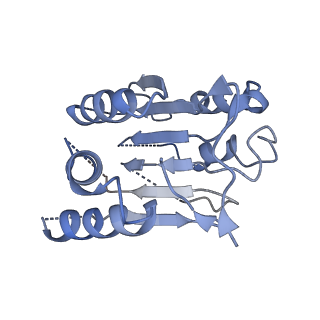 33310_7xn4_C_v1-1
Cryo-EM structure of CopC-CaM-caspase-3 with NAD+