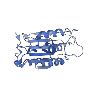 33311_7xn5_A_v1-1
Cryo-EM structure of CopC-CaM-caspase-3 with ADPR