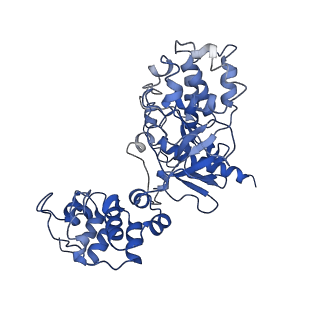 33311_7xn5_B_v1-1
Cryo-EM structure of CopC-CaM-caspase-3 with ADPR