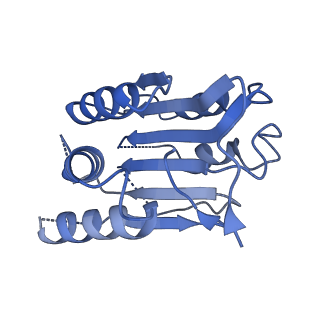 33311_7xn5_C_v1-1
Cryo-EM structure of CopC-CaM-caspase-3 with ADPR