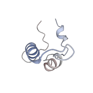 33311_7xn5_D_v1-1
Cryo-EM structure of CopC-CaM-caspase-3 with ADPR