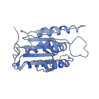 33312_7xn6_A_v1-1
Cryo-EM structure of CopC-CaM-caspase-3 with ADPR-deacylization